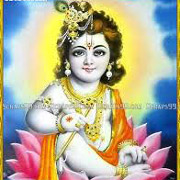 Little Krishna Nice Image