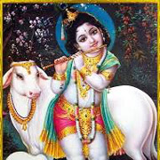 Little Krishna Nice Image