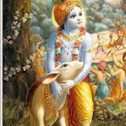 Little Krishna Nice Image