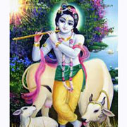 Little Krishna Nice Image