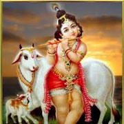 Little Krishna Nice Image