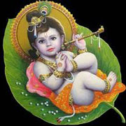 Little Krishna Nice Image