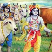 Krishna Nice Image