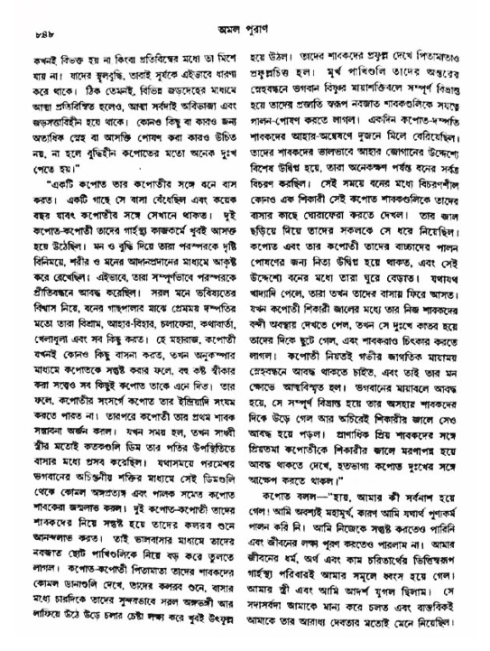 অমল পুরাণ পৃষ্ঠা নং-৮৪৮