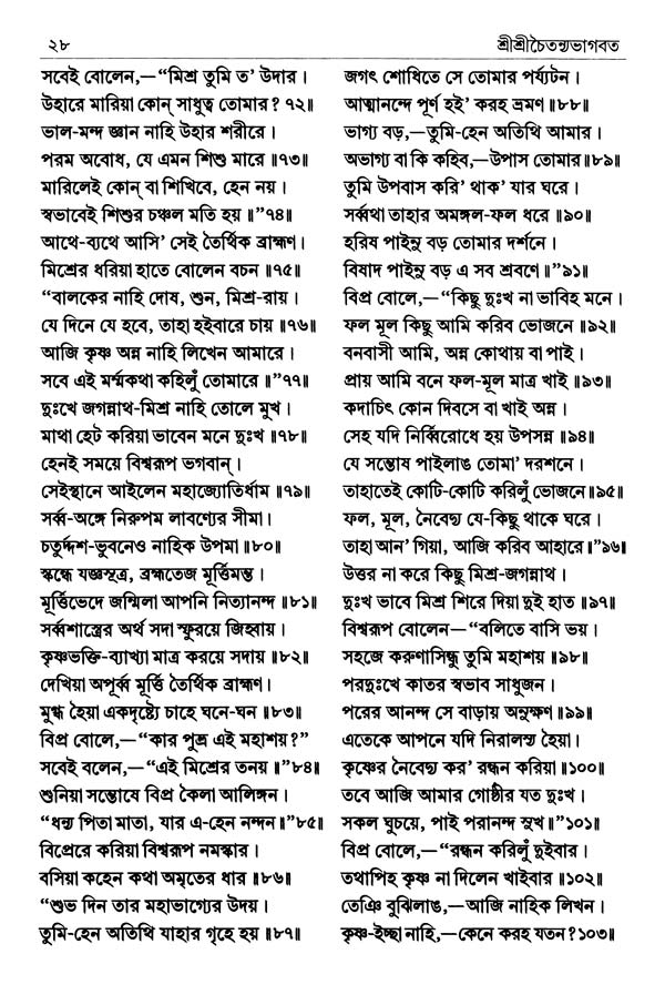  শ্রীশ্রীচৈতন্যভাগবত পৃষ্ঠা নং- ২৮ 