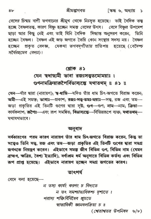  শ্রীমদ্ভাগবত, ৬ষ্ঠ  স্কন্ধ-পৃষ্ঠা নং- ৪৮ 